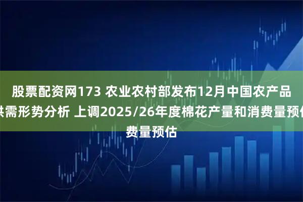 股票配资网173 农业农村部发布12月中国农产品供需形势分析 上调2025/26年度棉花产量和消费量预估