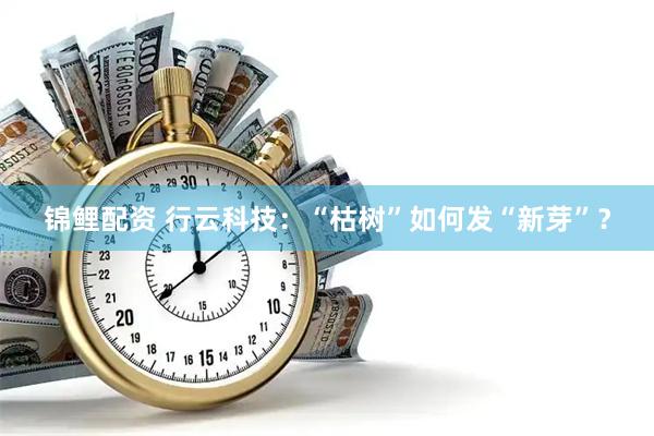 锦鲤配资 行云科技：“枯树”如何发“新芽”？