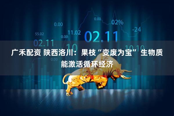 广禾配资 陕西洛川：果枝“变废为宝” 生物质能激活循环经济
