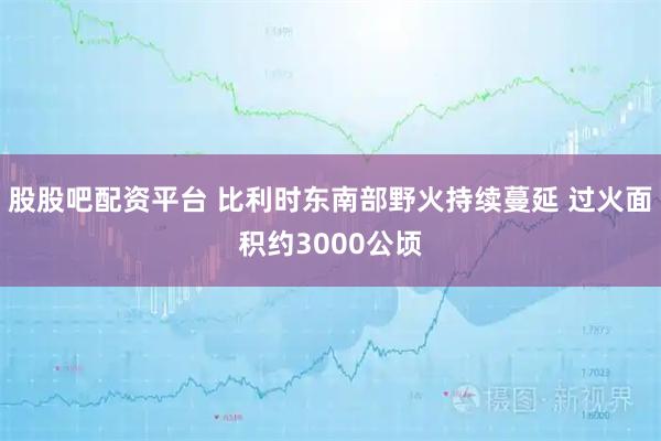 股股吧配资平台 比利时东南部野火持续蔓延 过火面积约3000公顷